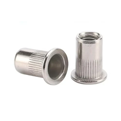 Chủ đề đai đinh tán cơ thể